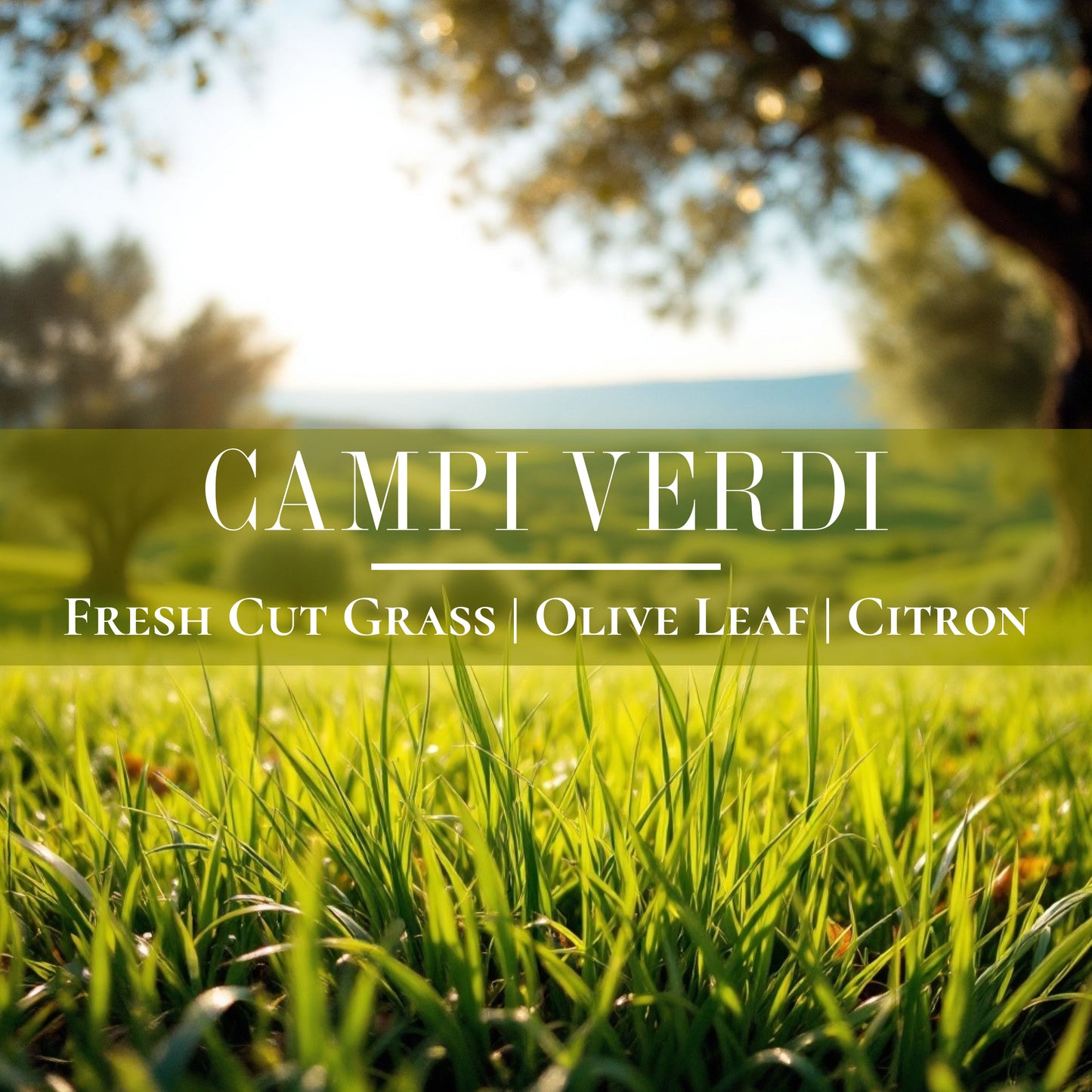 Campi Verdi - 4 oz Linen + Car Mist