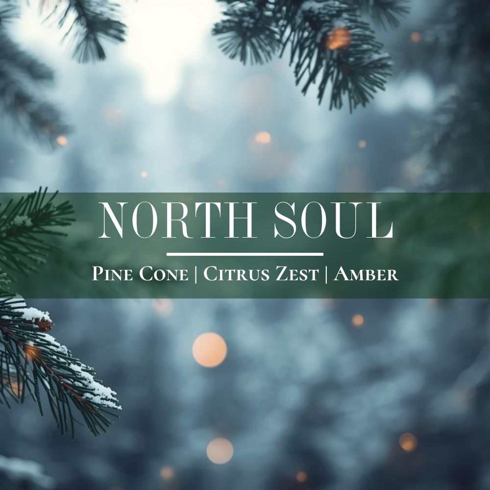North Soul - 12 oz Refillable Candle