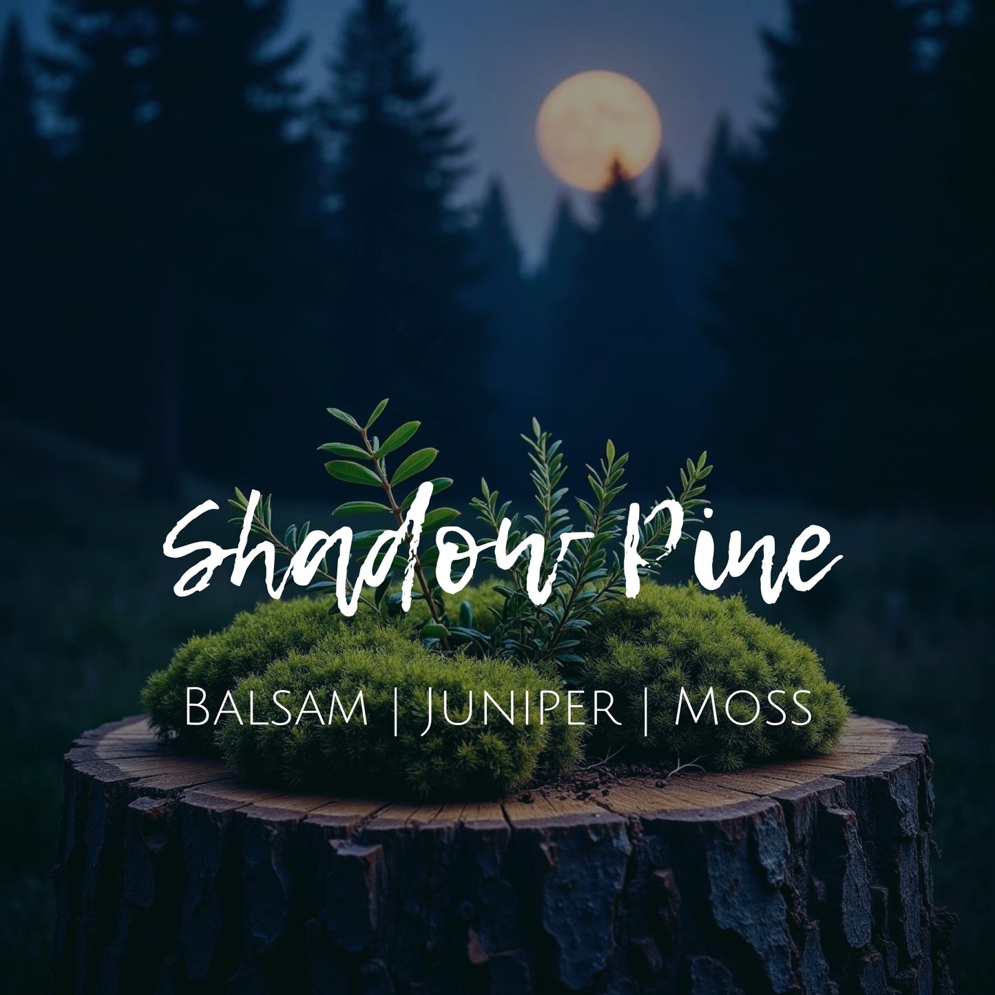 Shadow Pine - 8 oz Candle - Balsam | Juniper | Moss