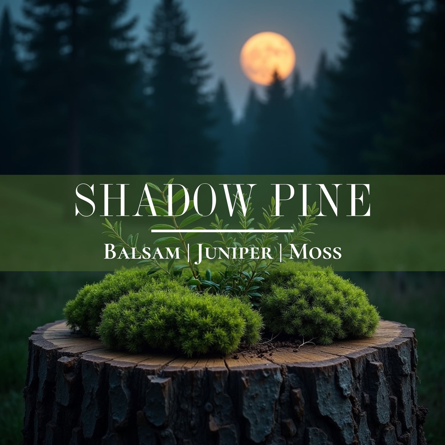 Shadow Pine - Candle Refill Kit