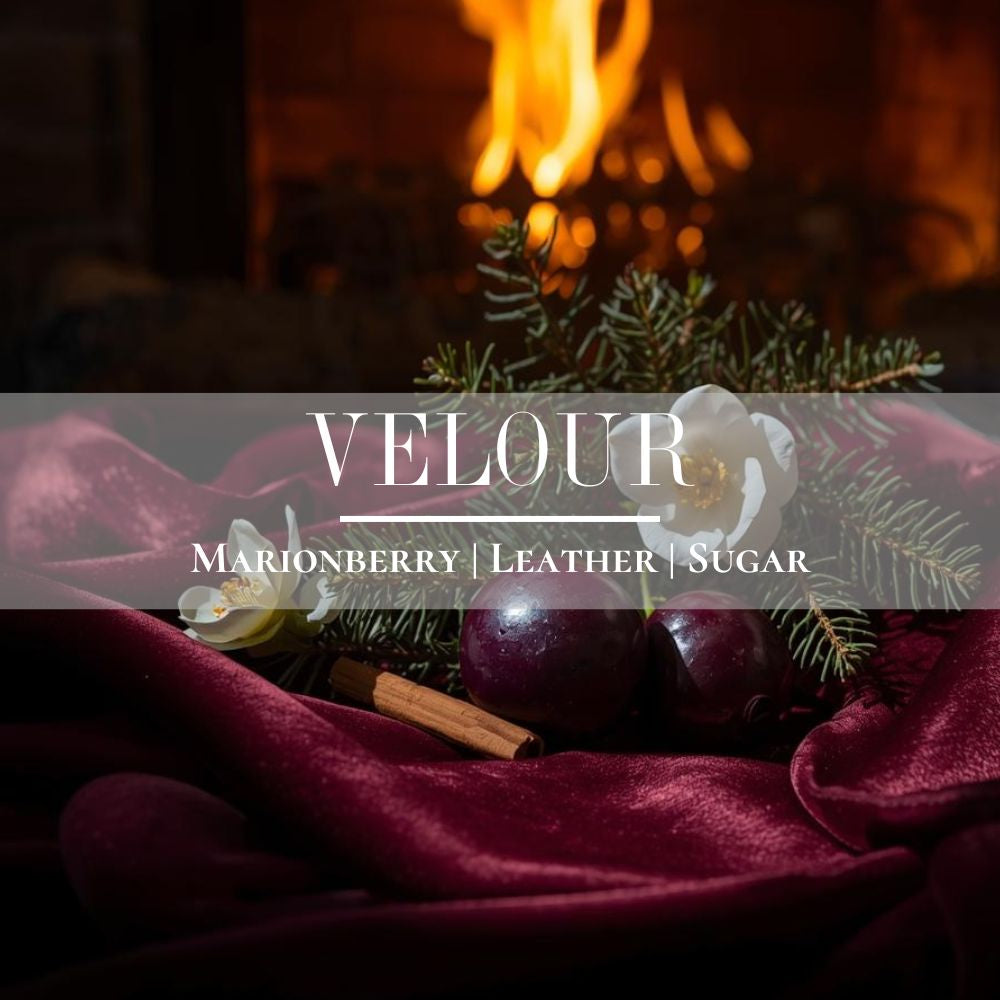 Velour - 12 oz Refillable Candle