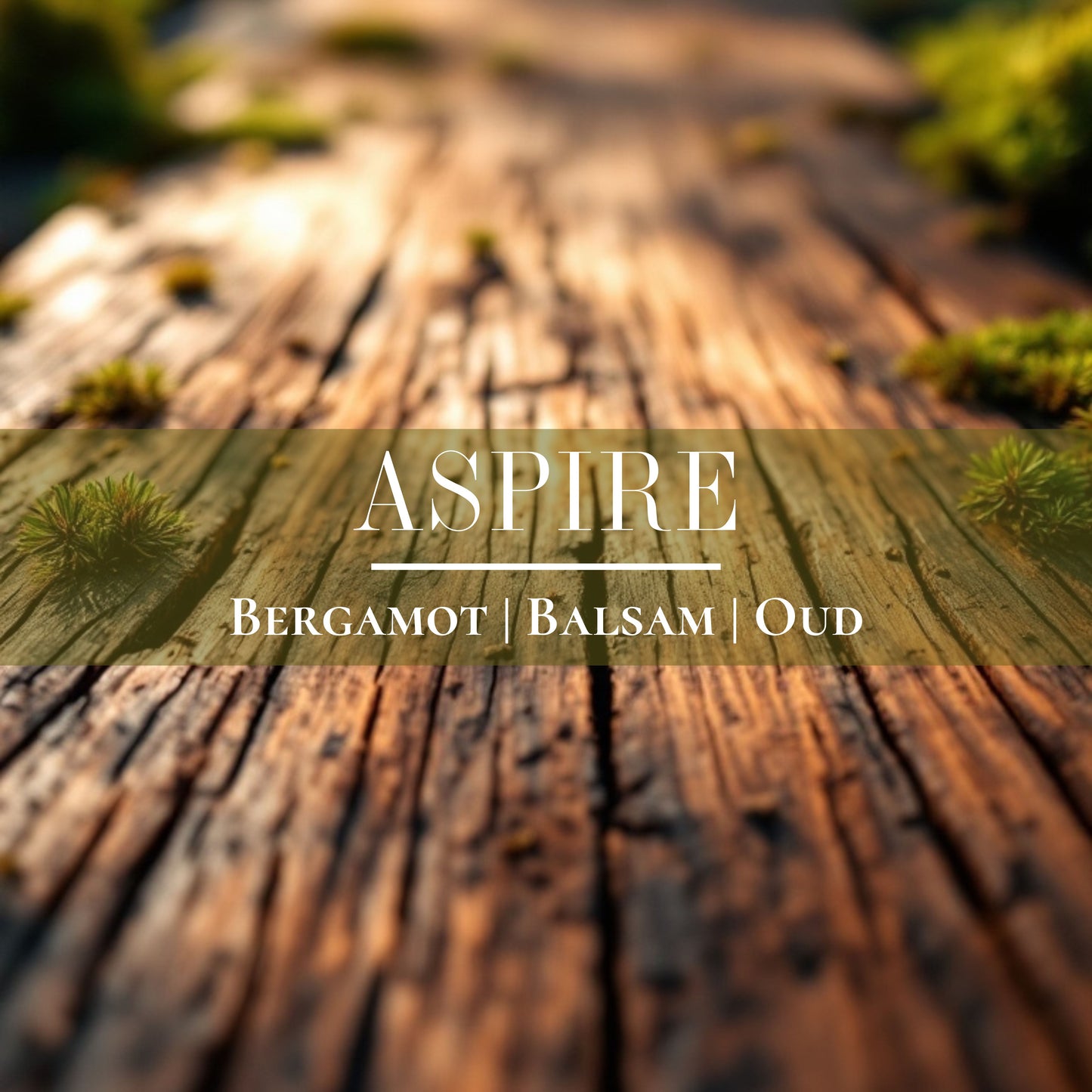 Aspire - Diffuser Oil
