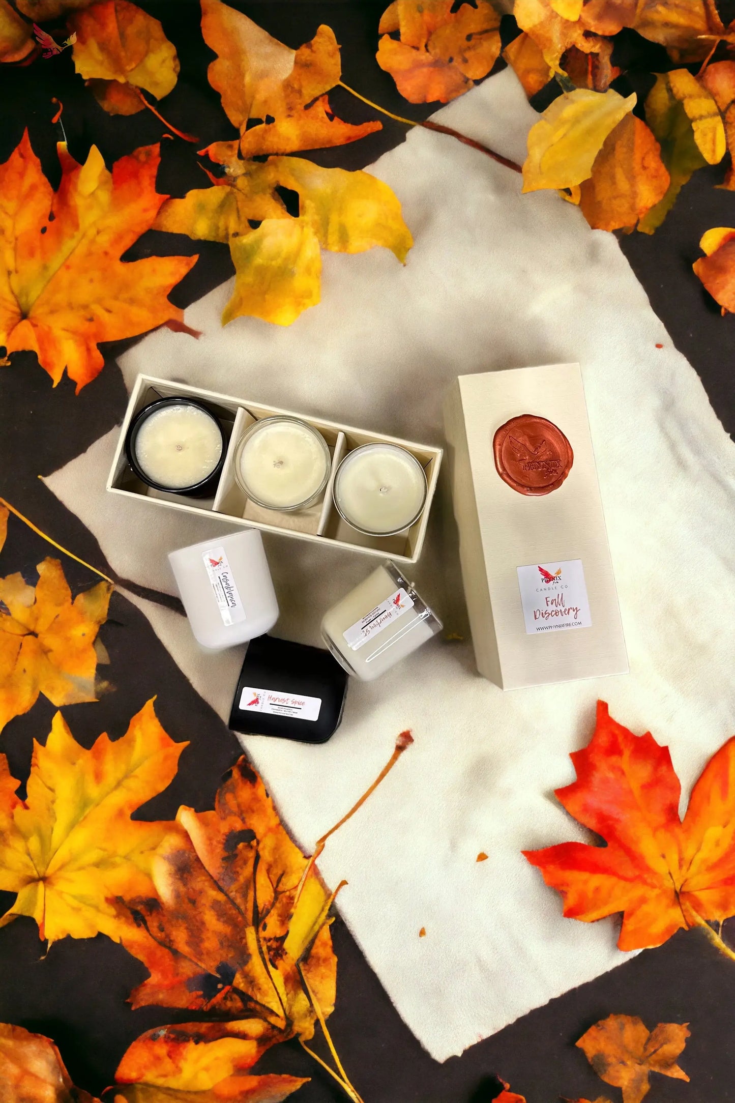 Fall Discovery Kit My Store