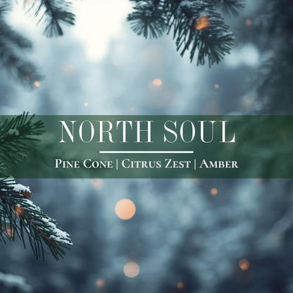 North Soul - 6.5 oz Ornamint Candle